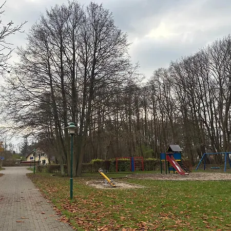 Muschel Am Apartamento Breege