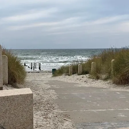 Muschel Am Apartamento Breege