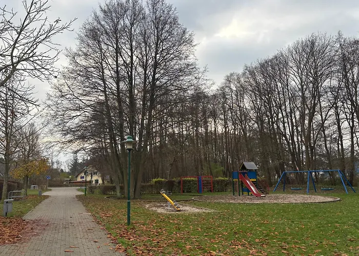 Muschel Am Apartment Breege