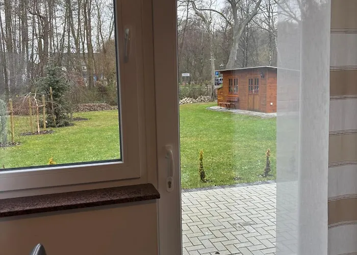 Muschel Am Apartment Breege