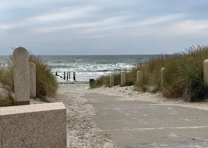 Muschel Am Apartamento Breege